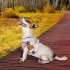 Fukamou Dog Harness and Leash view 2