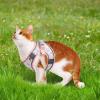 Fukamou Dog Harness and Leash view 3