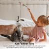 Cat Feather Toy Replacement Pack view 2