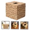Rectangular Iron and Straw Tissue Box Holder in Country Style view 3