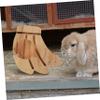 CORHAD Guinea Pig Food Dispenser - Fruit Shape Wooden Holder view 2