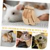 CORHAD Guinea Pig Food Dispenser - Fruit Shape Wooden Holder view 3