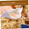 Parliky Hammock for Small Pets view 4