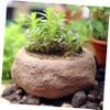 Parliky Maifanit Stone Decorations, 5 Bags, 300 g Natural Stone for Aquariums view 4