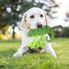 Squeaky Plush Dog Toy - Chameleon view 2