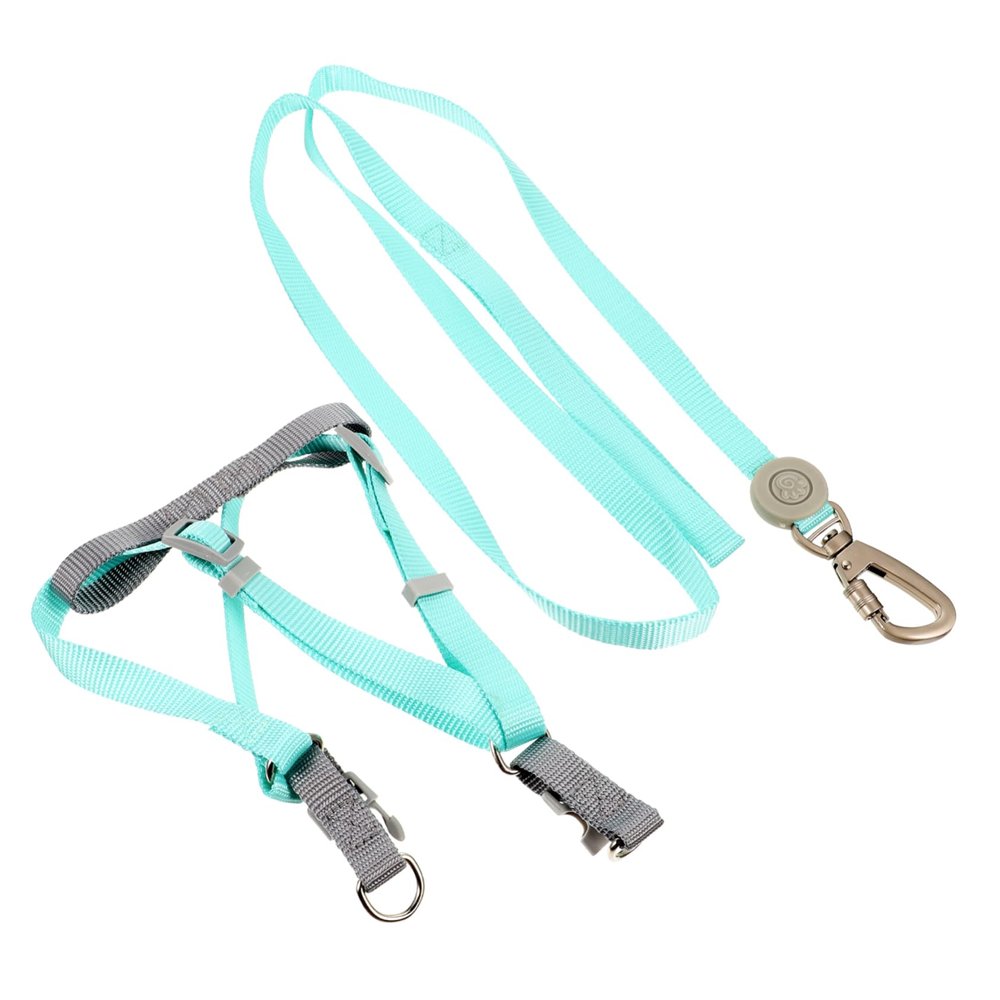 Parliky Dog Harness and Leash Set for Small Dogs