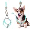 Parliky Dog Harness and Leash Set for Small Dogs view 2