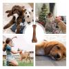 Dog Chew Toy | Healthy Beef Flavor Bone Treat view 4