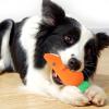 Latex Dog Chew Toy view 3