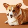 Dog Chew Toy for Aggressive Chewers view 3