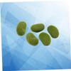 ULDIGI 5-Piece Artificial Moss Stones view 4