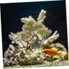 BCOATH Realistic Small Tree Aquarium Decoration view 3