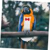 TOGEVAL Washable Parrot Diaper Flight Suit view 2