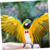 TOGEVAL Washable Parrot Diaper Flight Suit view 4