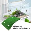 Turtle Ramp with Artificial Grass view 2