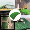 Turtle Ramp with Artificial Grass view 3