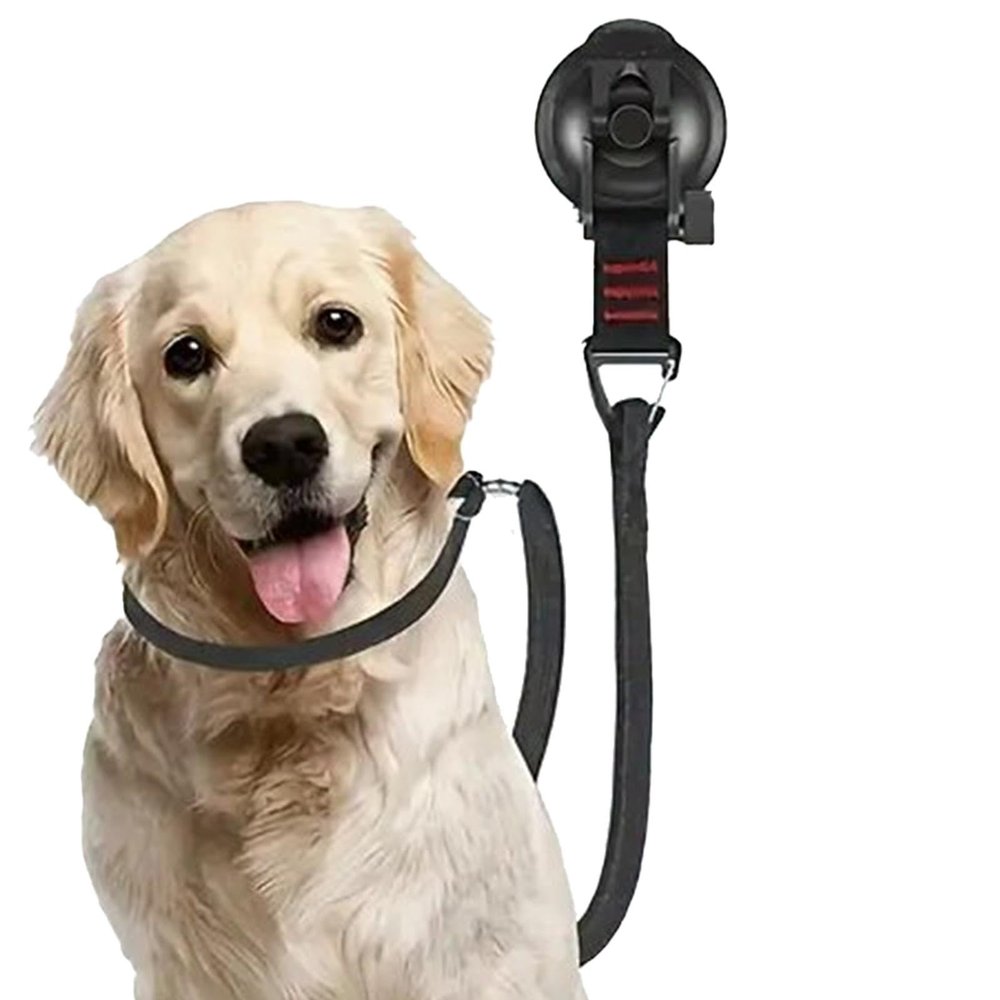 Dog Leash with Suction Cup