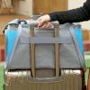 AMULONG Foldable Pet Carrier Backpack for Cats and Small Dogs, Blue view 3