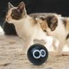 Interactive Cat Toy Ball view 4