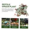 BESPORTBLE 3-Piece Decorative Reptile Plants for Terrariums, Natural-Looking Decor for Tortoises, Lizards, Spiders and Fish view 3