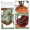 BESPORTBLE 3-Piece Decorative Reptile Plants for Terrariums, Natural-Looking Decor for Tortoises, Lizards, Spiders and Fish view 4