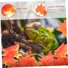 BESPORTBLE 4-Piece Simulated Terrarium Plants for Reptile Decor with Suction Cups view 2