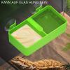 Chameleon Feeding Bowl with Suction Cups view 2