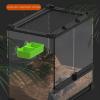 Chameleon Feeding Bowl with Suction Cups view 3