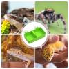 Chameleon Feeding Bowl with Suction Cups view 4