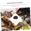 CORHAD 2-Pack Water Bowls for Reptiles view 2