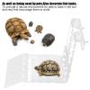 Asixxsix Turtle Basking Platform, Large Acrylic Reptile Ramp Dock view 2