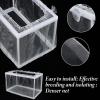 Fish Breeding Box with Suction Cups view 4