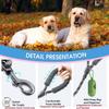 Retractable Dog Leash with Stop, Reflective 150cm Moxon Leash, Soft Padded Grip, 10mm for Medium Dogs (Black, 150cm) view 3