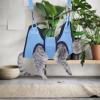 Dtaigou Dog Grooming Hammock for Nail Trimming, Cat Restraint view 2
