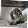 Hohopeti Adjustable Small Animal Harness and Leash Set view 2