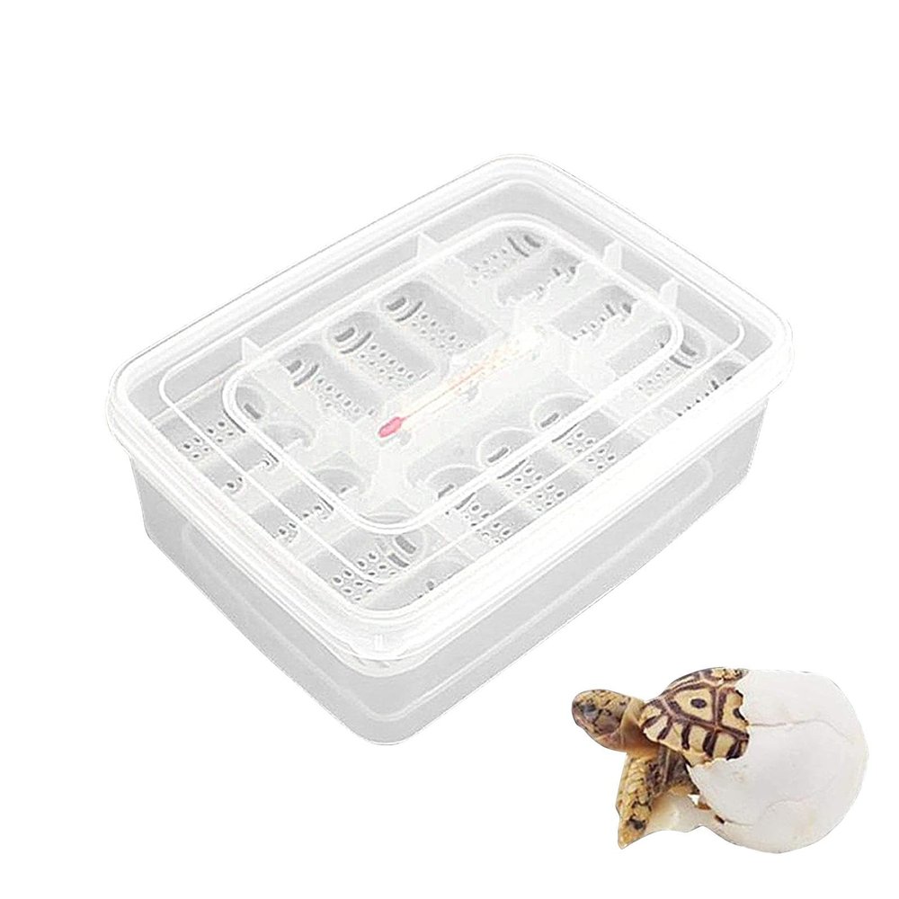 Reptile Incubation Egg Tray