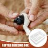 Reptile Incubation Egg Tray view 3