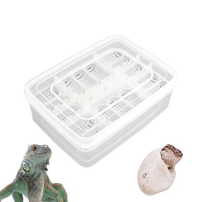 Reptile Breeding Box - 16 Grid Transparent Incubator