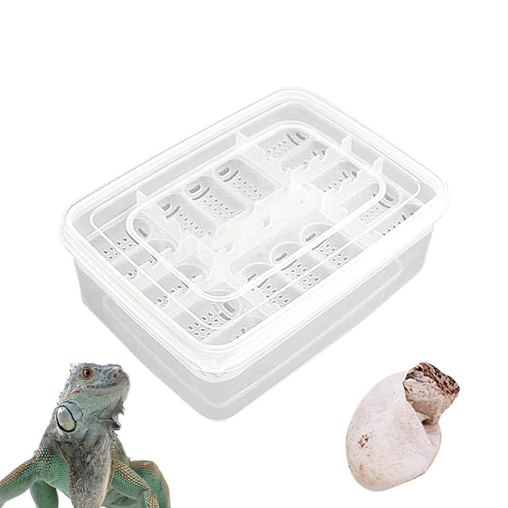 Reptile Breeding Box - 16 Grid Transparent Incubator
