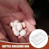 Reptile Breeding Box - 16 Grid Transparent Incubator view 2