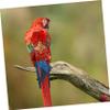 Hohopeti Parrot Diaper - Washable & Breathable view 2