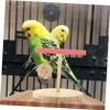 SEWOART Wooden Bird Play Stand for Parrots view 2