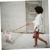 Plastic Dog Poop Grabber with Long Handle, Portable for Walks view 3