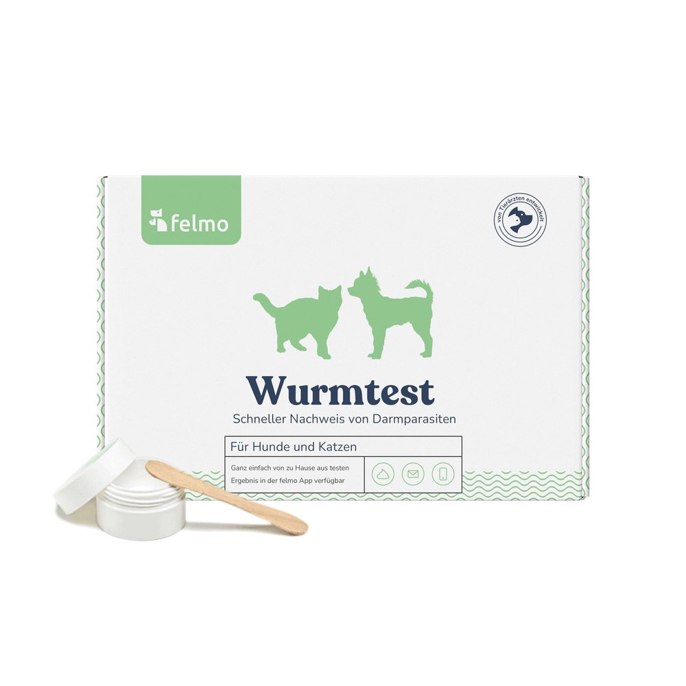 felmo Worm Test Kit for Dogs & Cats – At-Home Test