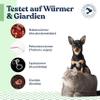 felmo Worm Test Kit for Dogs & Cats – At-Home Test view 2