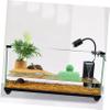 TOGEVAL Green Plastic Turtle Platform for Aquariums and Terrariums view 2