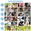 AIITLE Small Dog Harness with Leash view 3