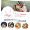SEWOART Hamster Bridge and Metal Pet Swing, Sturdy Pink Toy for Dwarf Hamsters view 2