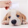 BESPORTBLE 2-Pack Pet Hair Combs for Dogs view 3
