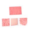 SEWOART Warm Hamster Mat for Small Animals, 2-Pack, Chenille, Pink view 2